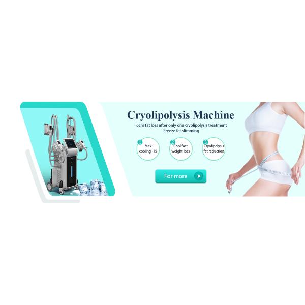 CE approved 4 cryo handles work together cool sculpting body slimming Cryolipolysis machine