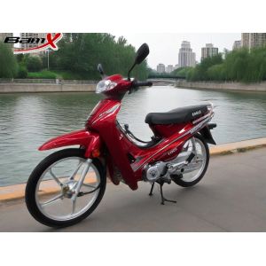 Мотоцикл велосипеда 110cc Enduro грязи мотоцикла детей улицы CDI охлаженный воздухом законный