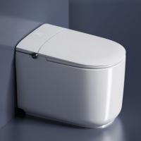El baño inteligente moderno es la adición perfecta a su diseño de baño de alta gama para una experiencia más lujosa