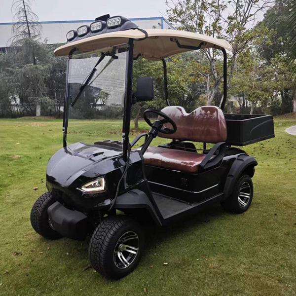 Electric Car with Standing Postion of Tail Caddie Equipped and 2500*1250*1850 Size