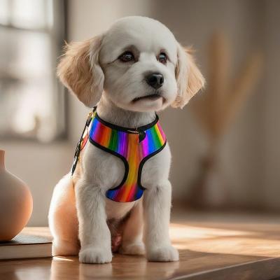 Stylish Adjustable Pet Collars Leashes Harnesses Custom Dog Collars Leashes And Harnesses
