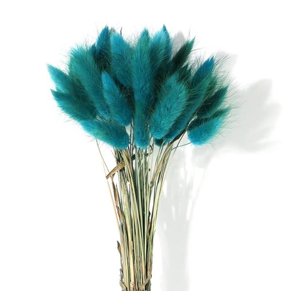 Wholesale cheap preserved dried flower 150 pcs /bunch dried rabbit tail grass lagurus ovatus