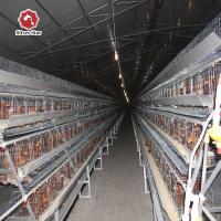 Tipo grande sistema do tamanho A do projeto o mais novo da gaiola da galinha da bateria para aves domésticas
