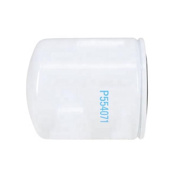Truck Coolant Filter P554071 5540463900 120760H1 for Tractor Parts at Hydwell