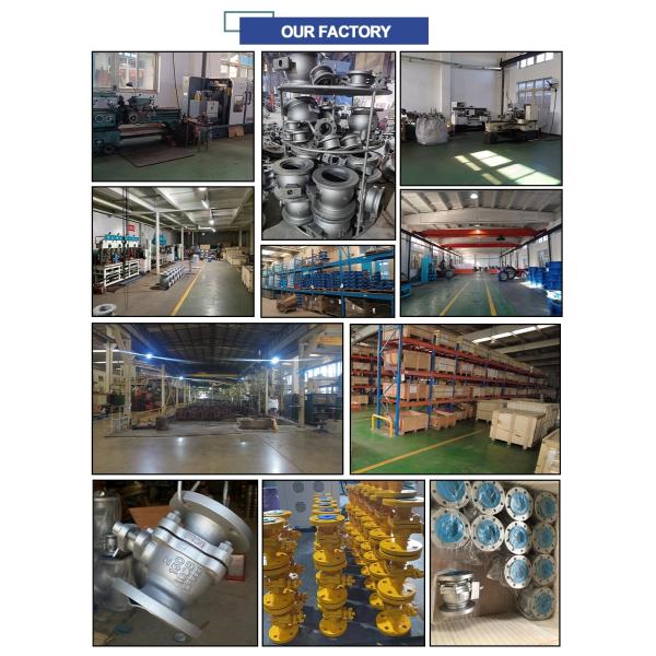 Общая Нержавеющая сталь CF8/CF8M Низкотемпературная холодная обработка 40 сетки RF концы Y стейк