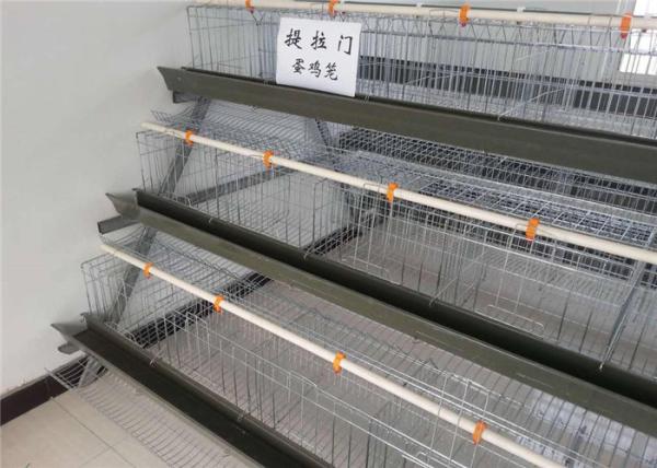 Electric Galvanized 128 Chickens Poultry Cage For Laying Hens , Battery Caged Hens