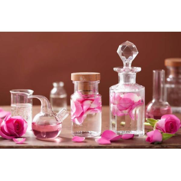 Free Sample 10ml Lacos Te Red Fragrance Oil Essence For Perfume Making  100% Pure