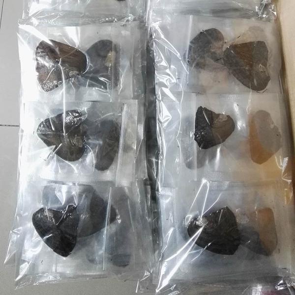 AAA grade,Vacumm packed Freshwater Cultured pearl Oysters with White/Gold/Purple/black/pink,6-7mm,7-8mm