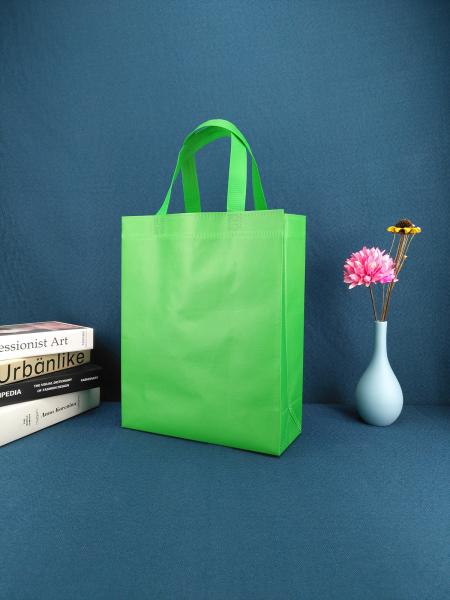 A compra do totalizador recicla tecido não leva do logotipo feito sob encomenda biodegradável verde dos sacos do saco sacos de compras na mercearia reusáveis não tecidos