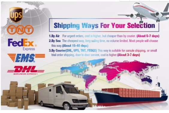 Metalized 8 Colors Printing Food Packaging Film Roll FDA