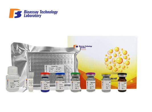 96 / 48 Wells Human ELISA Kit CNKSR1 / Human Connector Enhancer Of Kinase Suppressor Of Ras 1