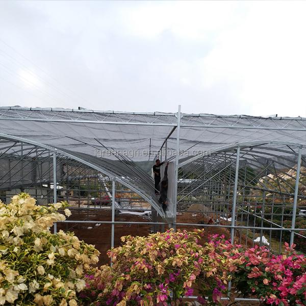IGreen Tunnel Strawberry Greenhouses for Sale Price of M2 Agricultural Greenhouse