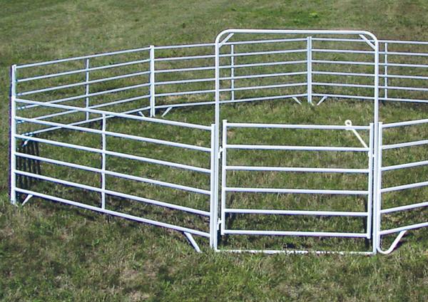 Steel 66.52 Square Feet Folding Animal Temporary Yard Fencing For Dogs