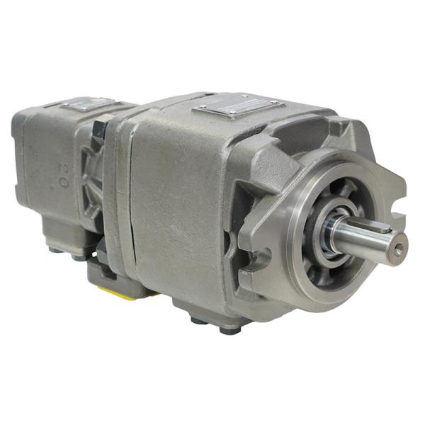 HG Series Double Gear Pump Hydraulic Internal Gear Pump HG10 HG11 HG21 HG22