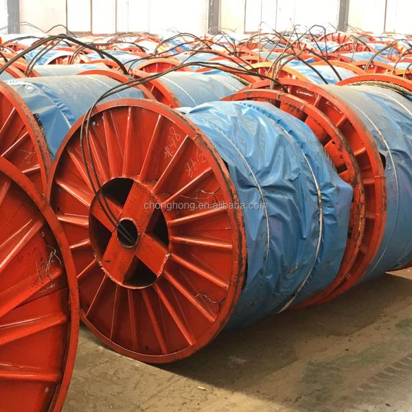Other Tolerance 10mm 12mm 14mm 16mm 18mm 20mm 24mm 30mm 32mm 34mm 36mm 40mm Compacted Wire Rope for Processing Service