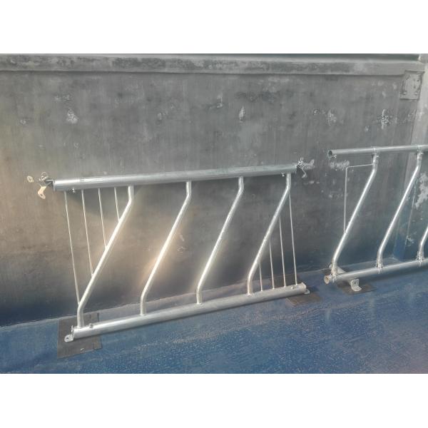 Silver Iron Cattle Feed Barriers Cow Farm Equipment Corrosion Resistance