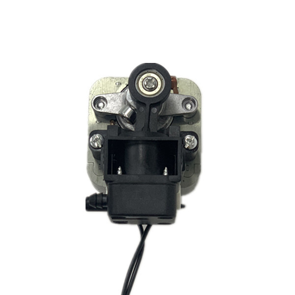 60HZ 220V Nebulizer Compressor Motor Ball Bearing 1 Phase Induction Motor