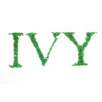 IV0.75-1.1 Résine PET recyclée GRS certifiée personnalisable