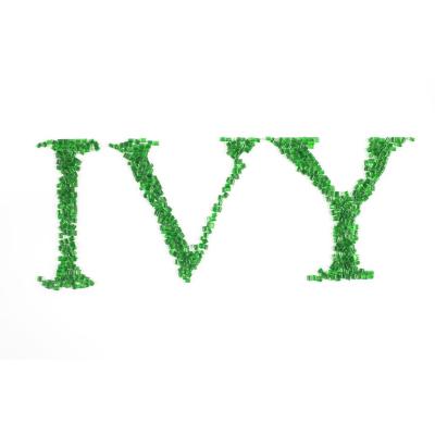 IV0.75-1.1 Recycled PET Resin GRS Certified Customizable