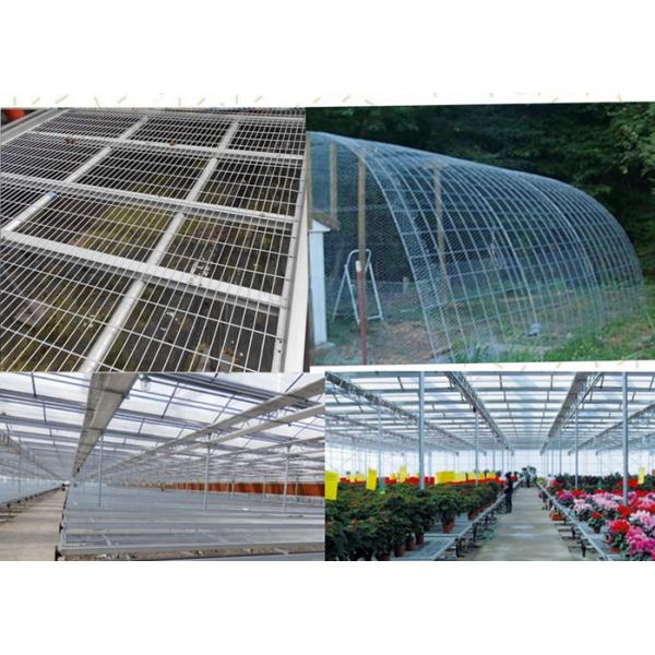 Easily Assembled Welded Wire Mesh Panels Square Hole For Greenhouse Bed Nets