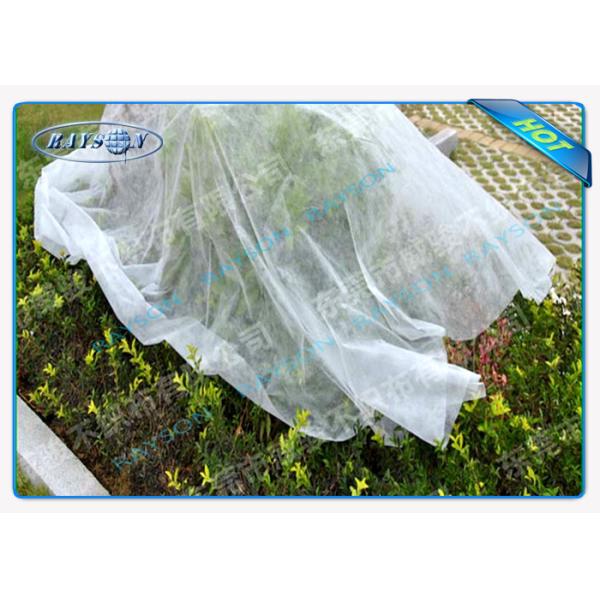 Anti UV Polypropylene Non Woven Fabric for Weed Control Garden Mat Agriculture Non Woven Cover