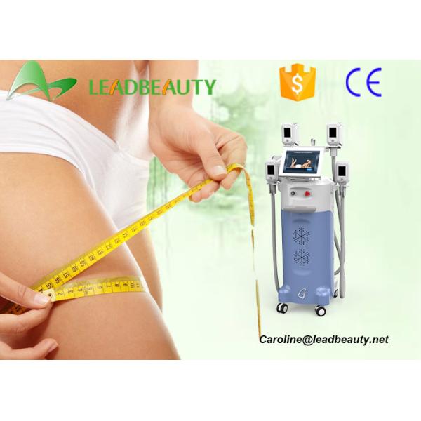 Rush to purchase! 4handles cryolipolysis/cryolipolysis fat freezing machine