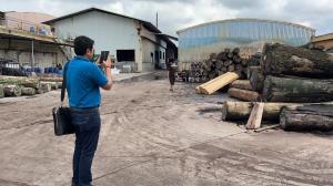 Dongguan Lingfeng Wood Industry Co., Ltd.
