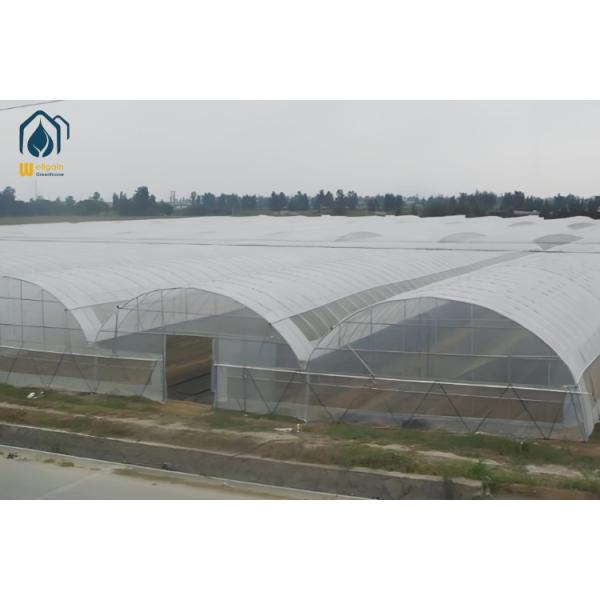 Agricultural Multi Span Greenhouse Tunnel PE Film Greenhouse With Ventilation System