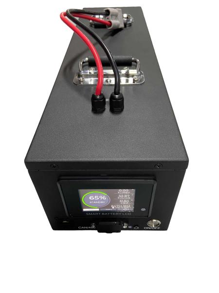 長寿命 50Ah LiFePO4 リチウム 48 ボルト ゴルフカート バッテリー 電動カートおよび海洋用途