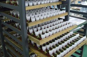 Chongqing Dejia Electric Co., Ltd.