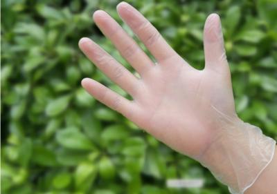 No - Toxic Latex Free Powder Free Disposable Gloves For Food Service