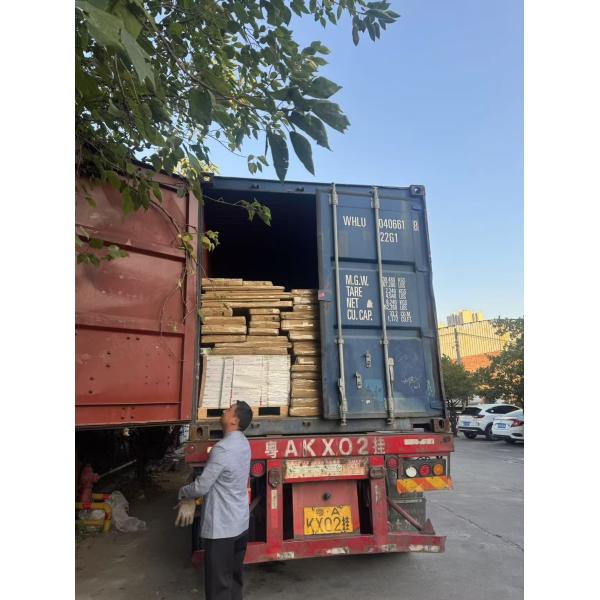 Durable 600*1200mm Ceramic Wall Cladding Tiles Indoor Outdoor Home Building Materials