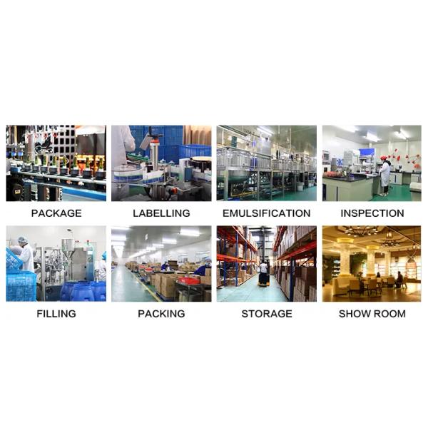 30ml Hotel Empty Plastic Cosmetic Tube Refillable Hand Cream Tube Packaging