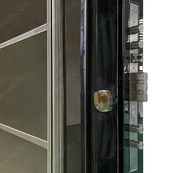 Australia Style Finished Bright Black High Glossy Color Front Flush Luxury Aluminum Security Stainless Steel Pivot Entry Door