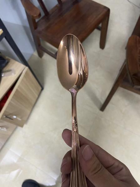 Professional Metal Stainless Steel Kitchenware Coffee Spoon Fork Coating Machine
