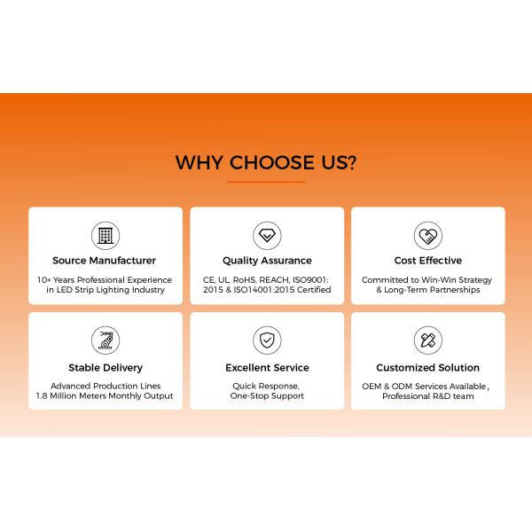 RGB RGBW Swimming Pool Neon Lights Strip Flexible LED Neon Lighting IP65 / IP68