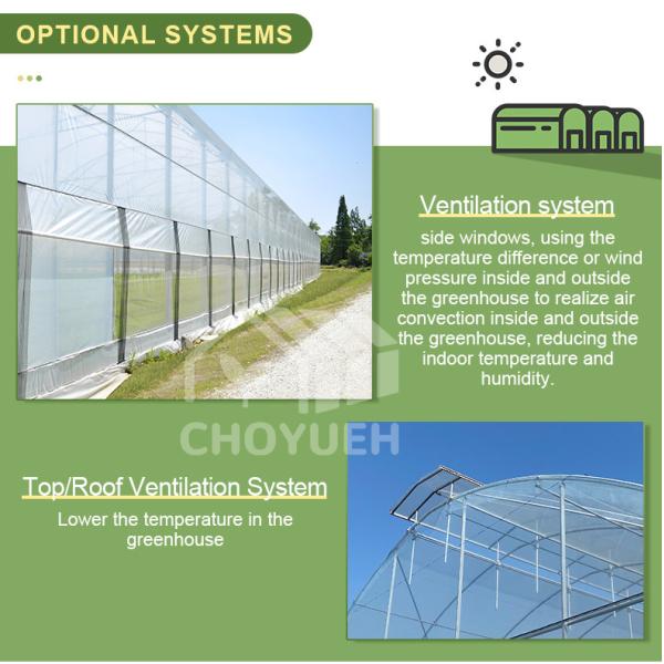 Multi Span Film Hydroponic Garden Greenhouse 10X30m Customizable