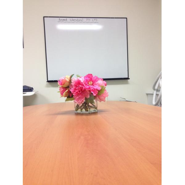 Многофункциональные постоянные машины удаления волос лазера для полных тела/ухода за лицом