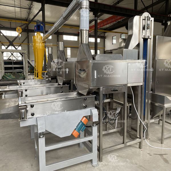 Full Automatic High Blanching Rate Peanut Slitting Blanching Machine