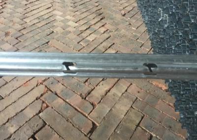 Hot Dipped Galvanized Metal Vineyard Posts Grape Stakes With H Holes 1.5mm Thickness