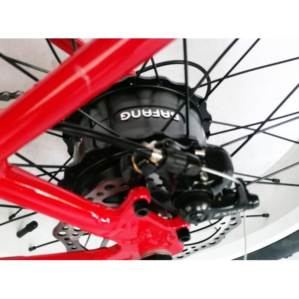 1000W 48V 21AH 7 Speed Disc Brake 20