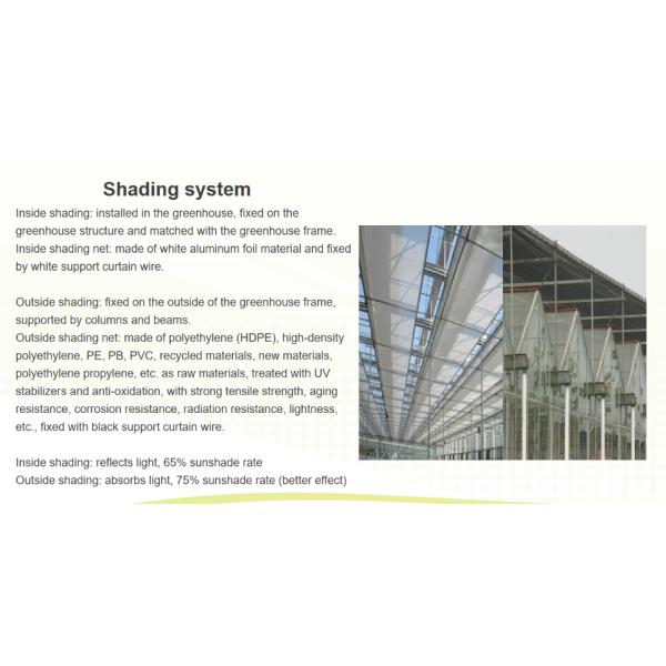 Intelligent Temperature-Controlled Venlo Glass Flower Greenhouse