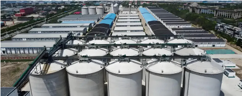 Dx51d Dx53D+Z SGCC Sgcd S350gd Egi Galvanized Steel Coil/Sheet/Pipe/Strip for Construction