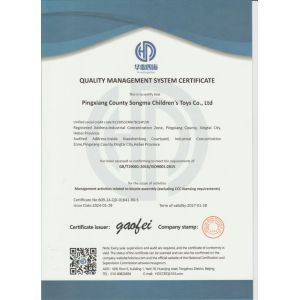 Pingxiang County Songma Children's Toys Co., Ltd. Сертификации