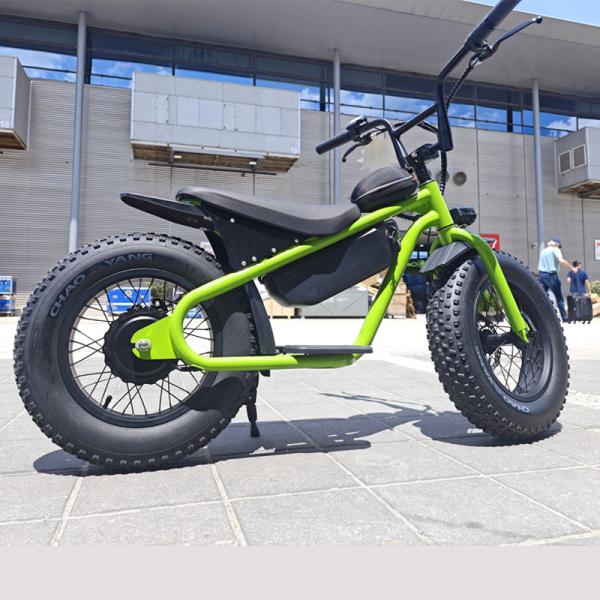 60-70 Nm Torque Little Fat Tire Electric Dirt Bike for Kids 13AH Chopper Motorcycles
