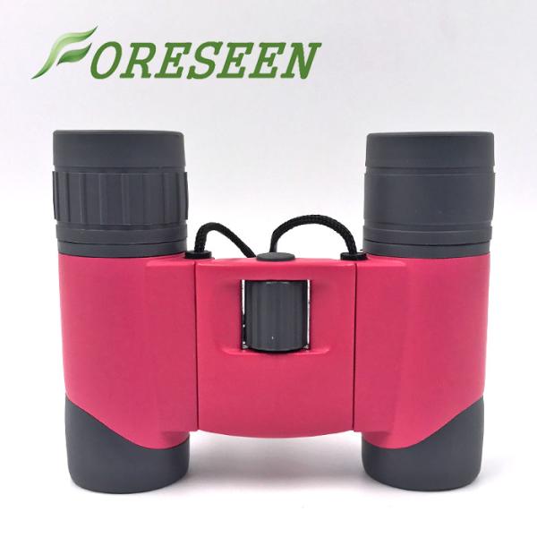 HD 8X22 Compact Mini Auto Focus Binoculars Outdoor Exploration Adventure Kit For Kids Adults
