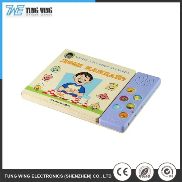Recordable Remote Control Sound Book for Kids - Colorful Educational Talking Toy Book