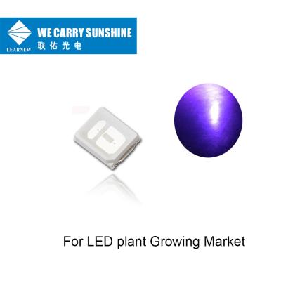 O período de longa vida UVA conduziu a microplaqueta UV do diodo emissor de luz de 395-405nm 150-200mW para o crescimento da planta do diodo emissor de luz