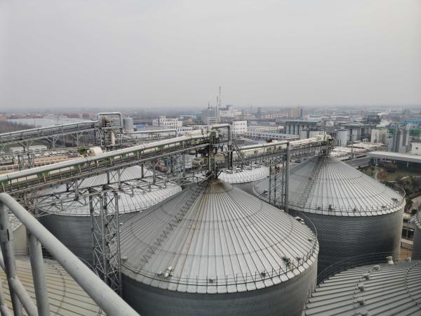 Stainless Steel Galvanized Grain Silo Preservation Preserves The And Integrity Of Stored Materials