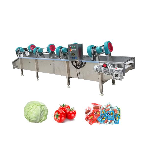 Fan Blower And Vibrate Conveyor Dry Conveyor Wild Vegetable Cleaning Equipment Heavy Duty Food Processor